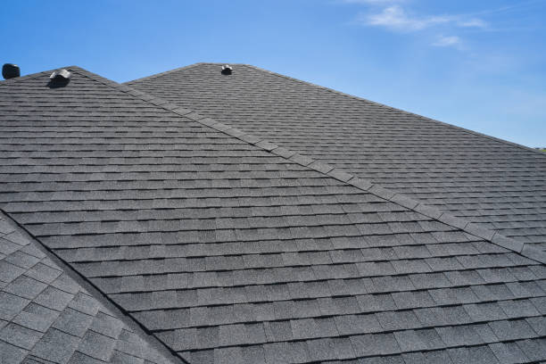 Professional Roofing service in Travis Ranch, TX